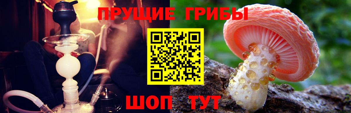 Галлюциногенные грибы MAGIC MUSHROOMS Северодвинск
